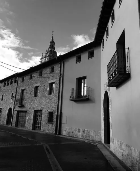 Proyecto destacado 8